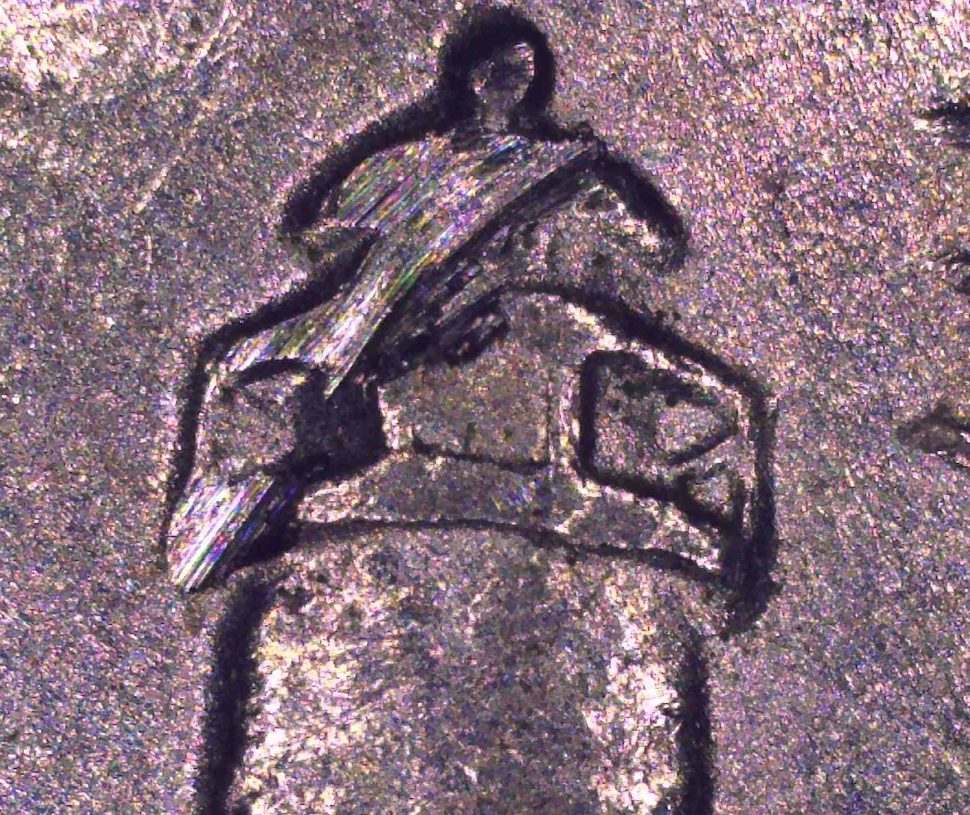 2003-P-Maine-Quarter-Lighthouse